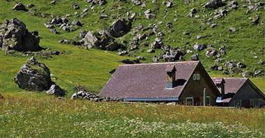 如何實(shí)現(xiàn)二氧化碳排放達(dá)峰？