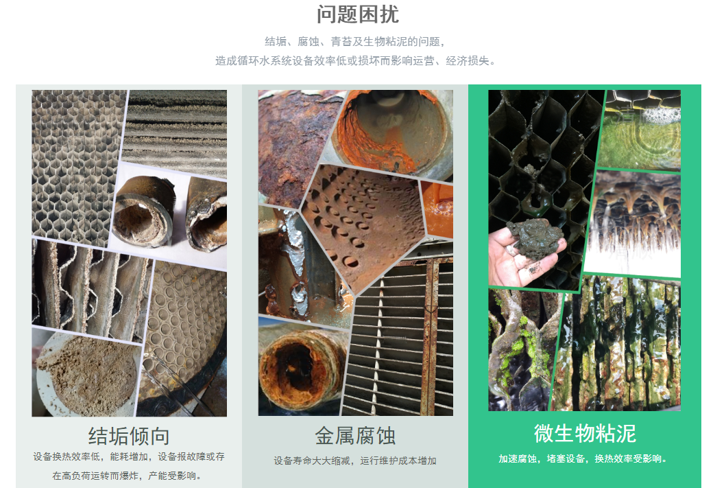 研發(fā)平臺(圖1) 研發(fā)平臺(圖1)